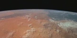 The Sixth Extinction