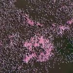 TROM: The Reality of Me