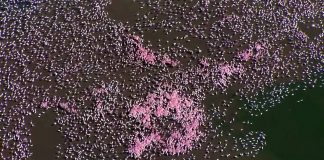 TROM: The Reality of Me