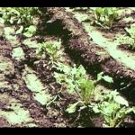 Unwasted: The Future of Business on Earth