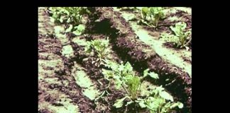 Unwasted: The Future of Business on Earth