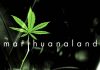 Marihuanaland