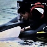 A Killer Whale Called Luna