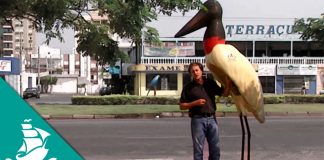 Amazonia: Protected Nature