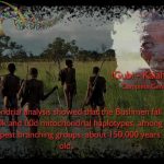 Homo Sapiens: Who Are We?