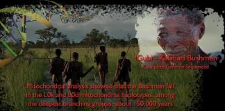 Homo Sapiens: Who Are We?