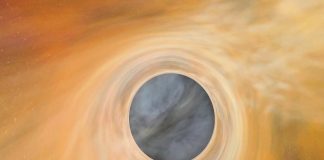 Birth of a Black Hole