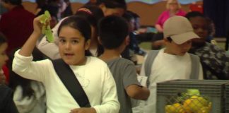 Edible City: Grow the Revolution