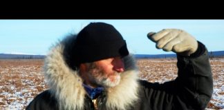 Surviving Alone in Alaska