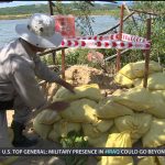 Vietnam: My Orange Pain