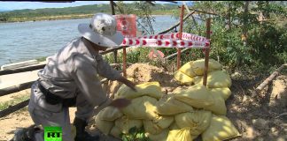 Vietnam: My Orange Pain