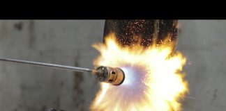 The Politics of Food: Smokies