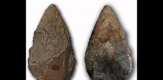 Why I Am No Longer a Creationist