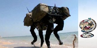 Attack of the Drones