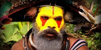 Ambassadors of the Jungle