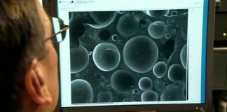 Stone Age Apocalypse