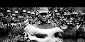 Asia’s Illegal Animal Trade