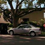 Witness – Grandma’s Tattoos