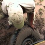 The Greatest Animal Migration