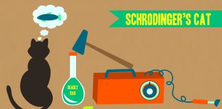 I Don’t Think It Means What You Think It Means