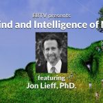 Consciousness: Searching for the Mind