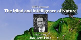 Consciousness: Searching for the Mind