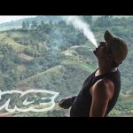 Weediquette: Kings of Cannabis