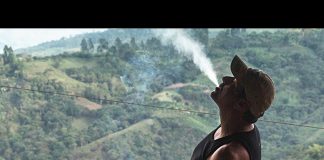 Weediquette: Kings of Cannabis