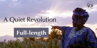 A Quiet Revolution: The Earth Charter and Human Potential