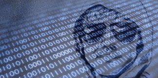 The Net: The Unabomber, LSD and the Internet