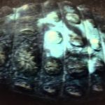 Clash of the Dinosaurs