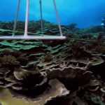 Pacific Ocean Paradise