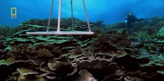 Pacific Ocean Paradise