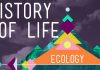 Crash Course: Ecology