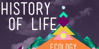 Crash Course: Ecology