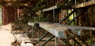 The Chinese are Coming