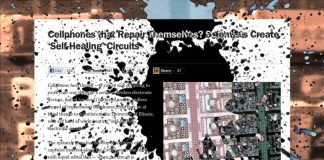 Culture in Decline: Consumption-Vanity Disorder