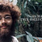 Terence McKenna’s True Hallucinations