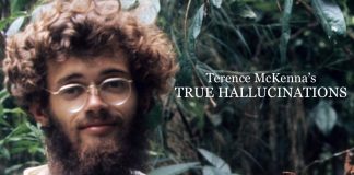 Terence McKenna’s True Hallucinations