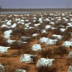 Horn of Africa Crisis