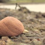 Moons of the Solar System