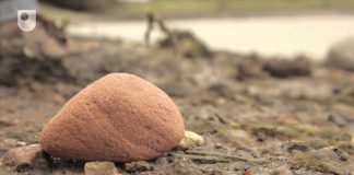 Moons of the Solar System