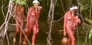 Amazon: The Last Call