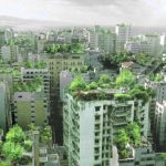 The Evolution of Ecological Consciousness