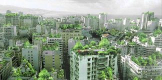 The Evolution of Ecological Consciousness