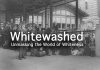 Whitewashed: Unmasking the World of Whiteness