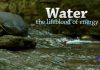 Water: Lifeblood of Energy
