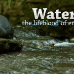 Water: Lifeblood of Energy