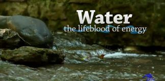Water: Lifeblood of Energy