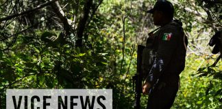 The Missing 43: Mexico’s Disappeared Students